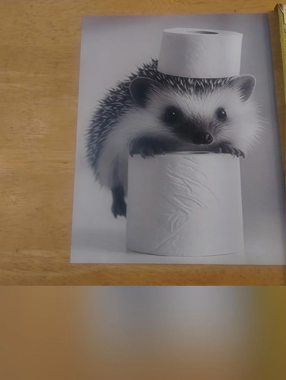 Cute Hedgehog Toilet Paper Wall Art Print Funny Bathroom Decor 8x10 Stock Card